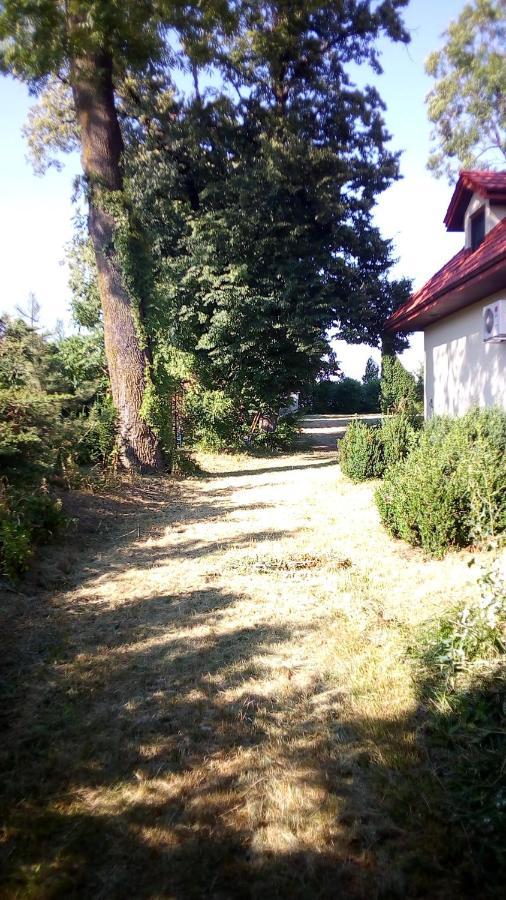 Twój Azyl Świdnik Exterior foto